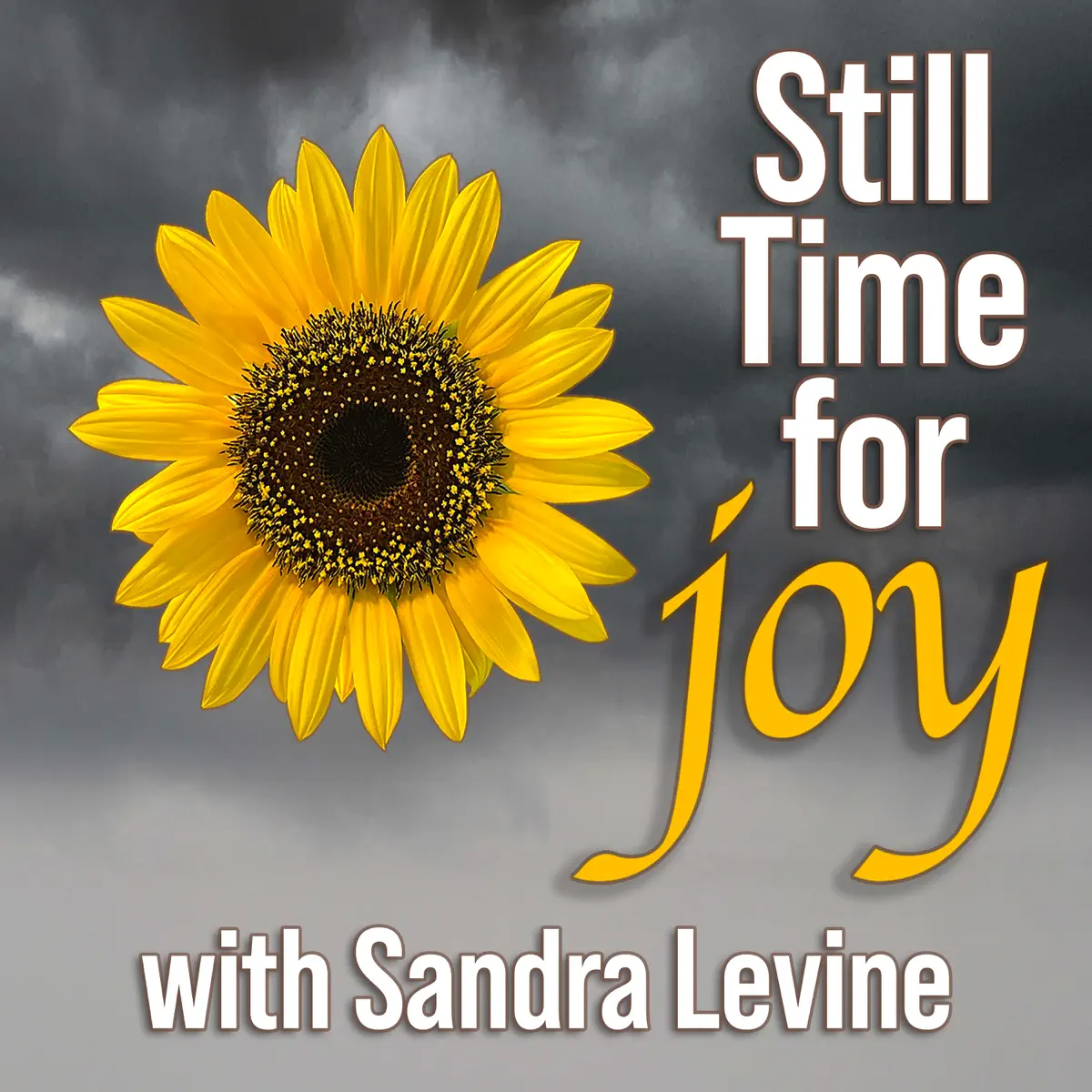 Still Time For Joy Podcast | Flora and Associates