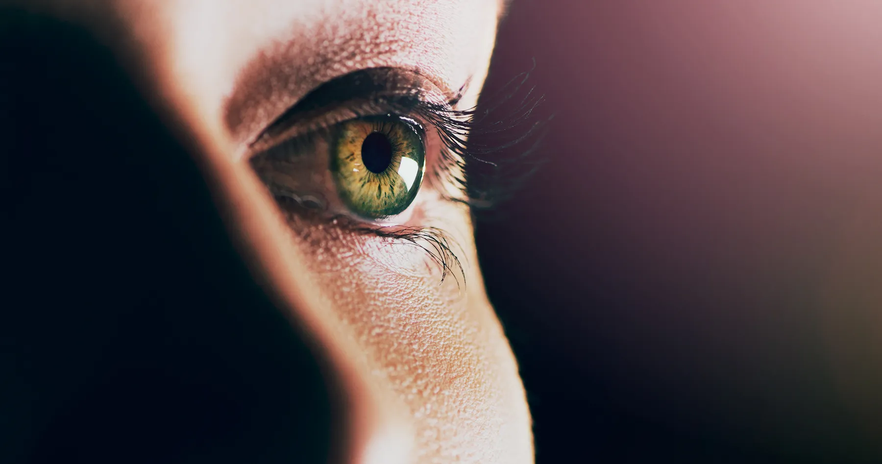 Close-up of a green eye with long eyelashes, gazing forward with soft lighting and shadow for a dramatic and introspective effect.